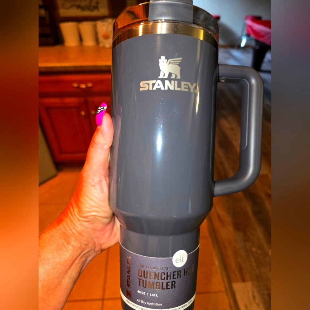Stanley X Elf Collab Crystal Clear 40 Oz Stainless Steel Quencher